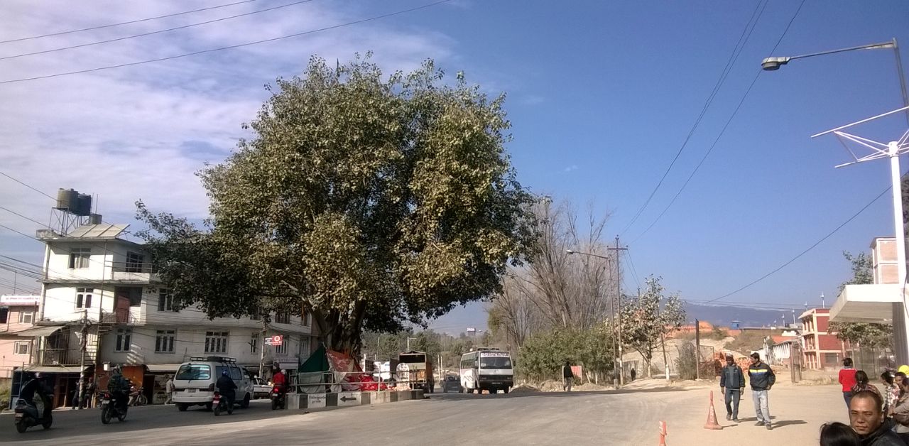 Sita Air Headquarters