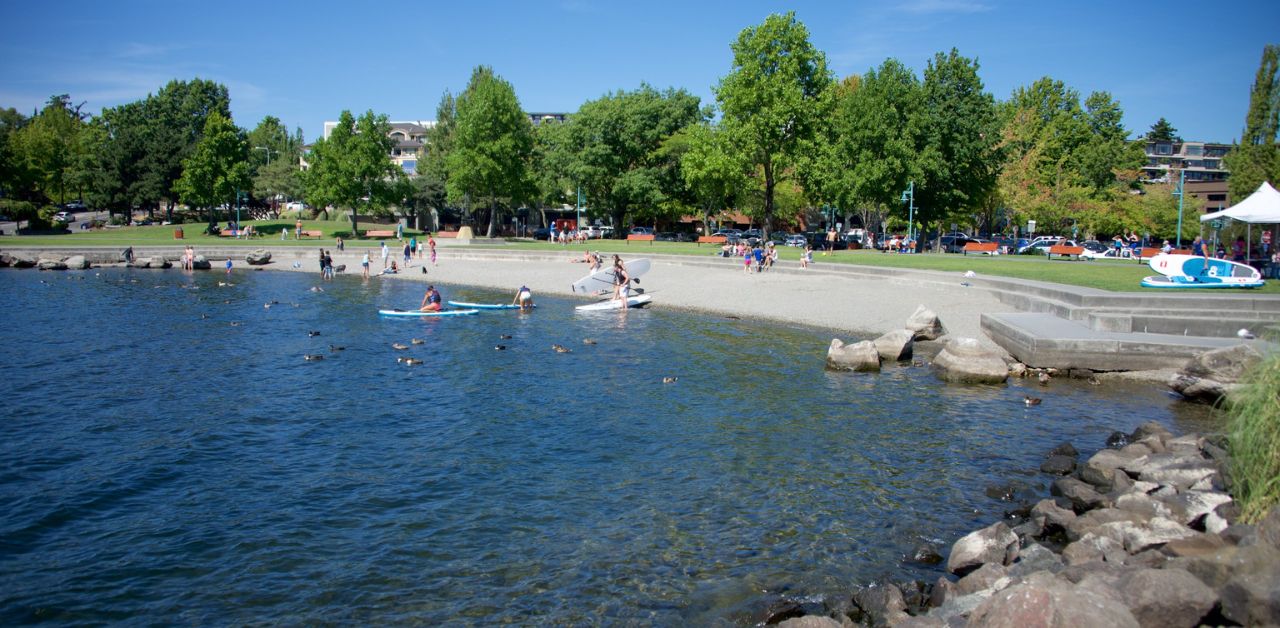 Ariana Afghan Airlines Kirkland Office