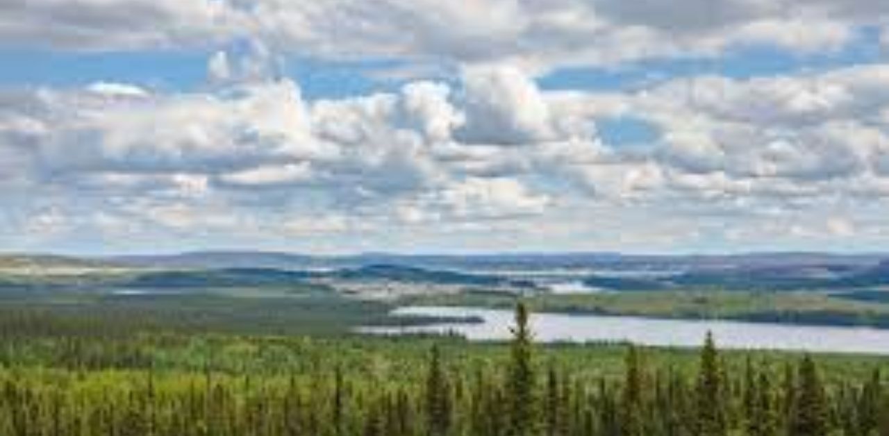 Wabush