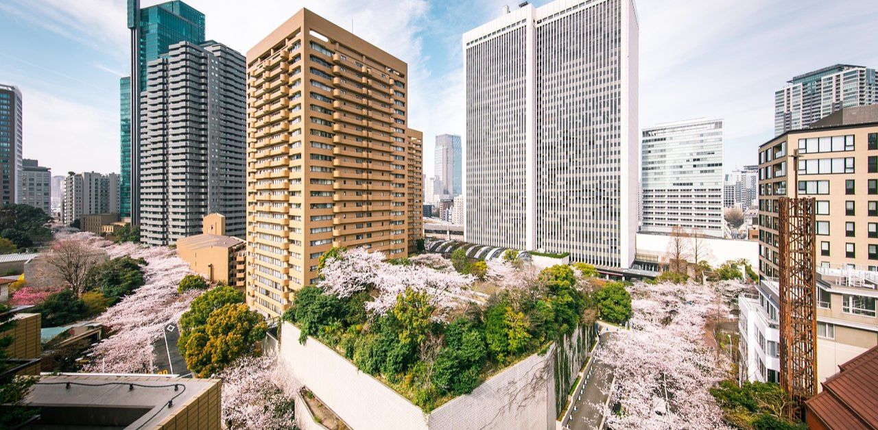 Akasaka