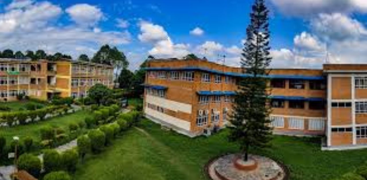 Pulchowk