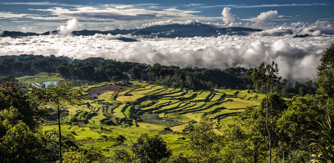 Tana Toraja